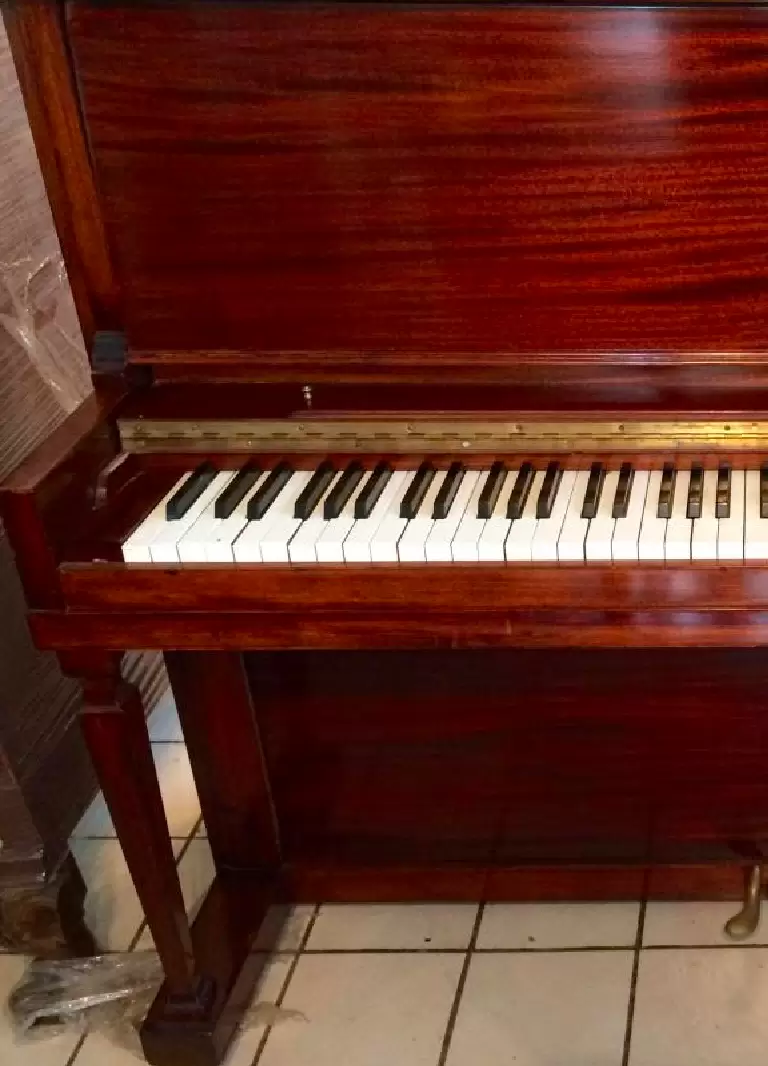 b) Piano de Estudio